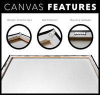 Nas Canvas Print