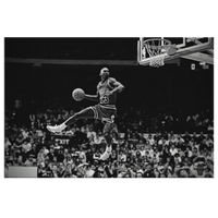 Jordan Dunk Canvas